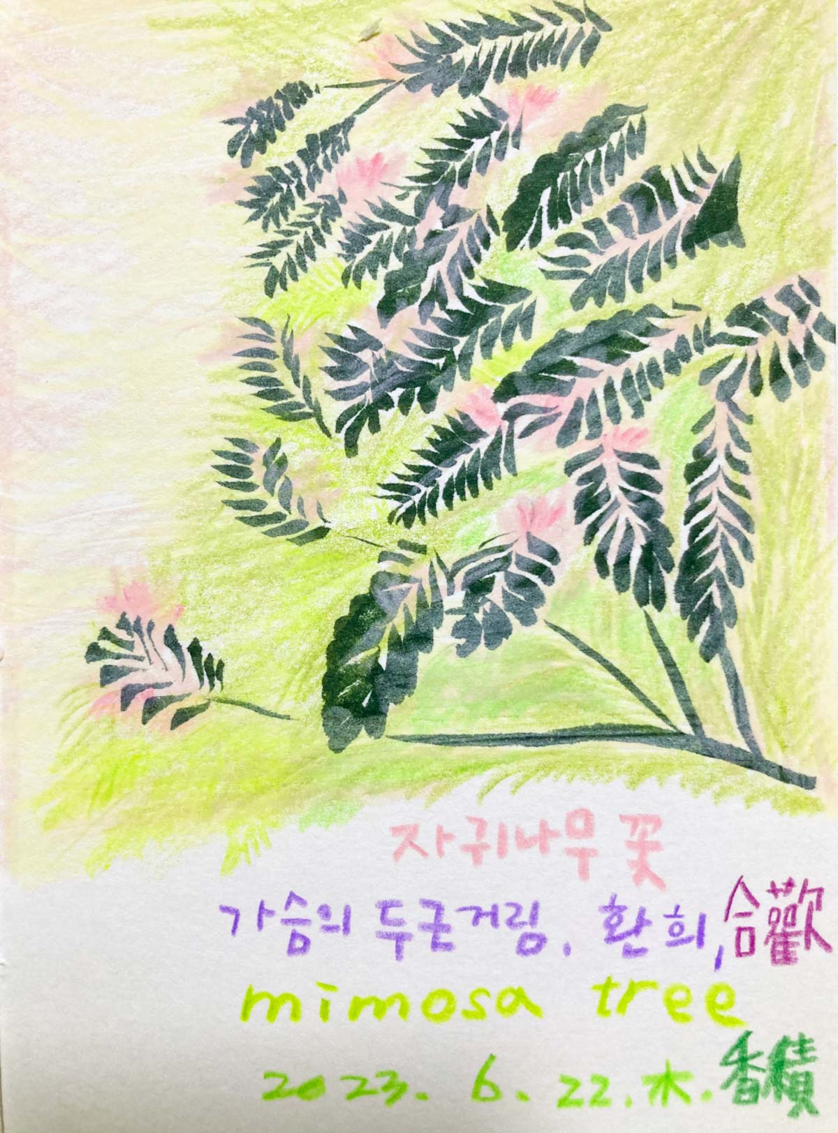 계룡-이층집-정원일기-5-앞치마-(자귀나무-꽃)_resize.jpg