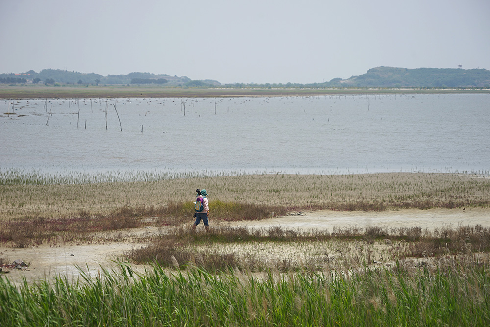 CKB09673_ 딸기.JPG