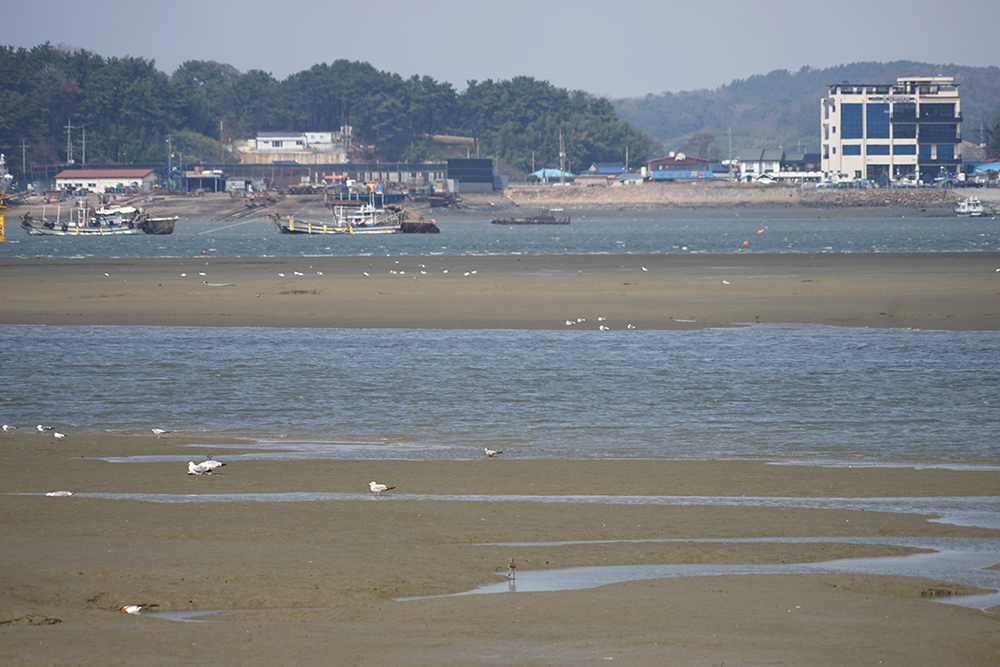 CKC02654_ 군산내항.JPG