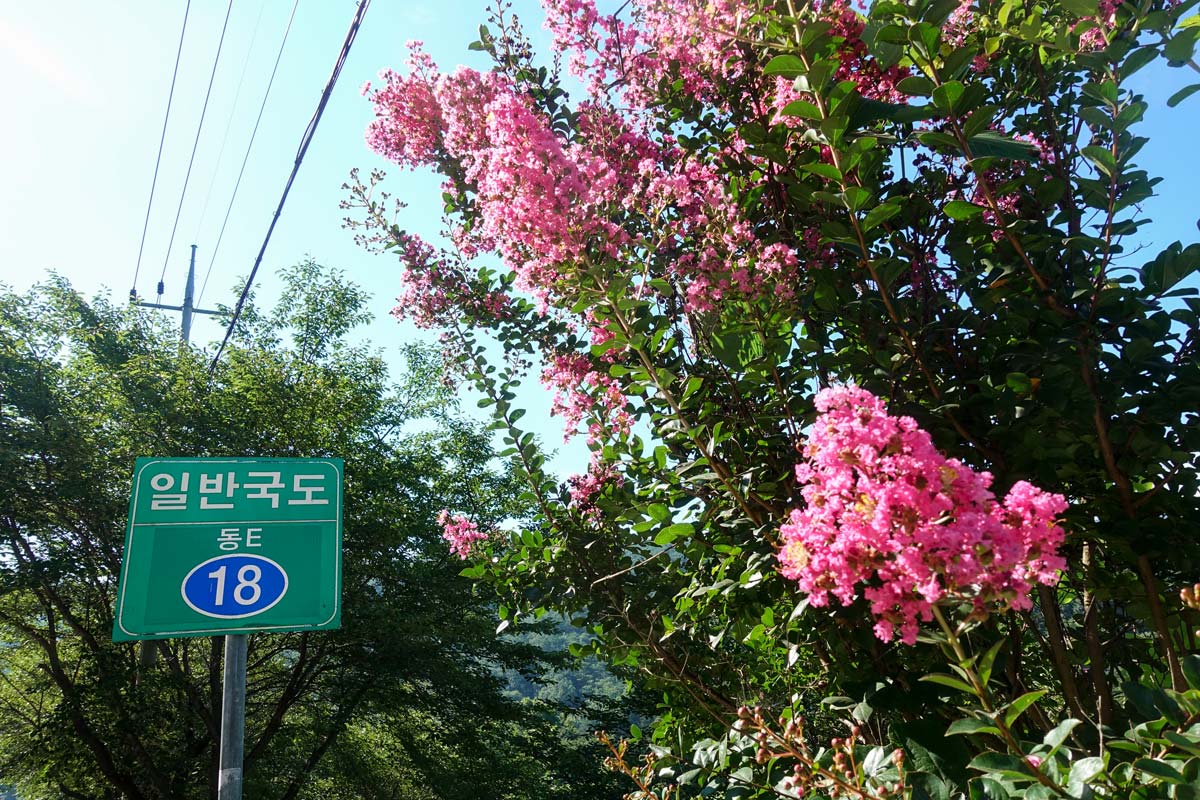 DSC05240-18번국도_resize.jpg