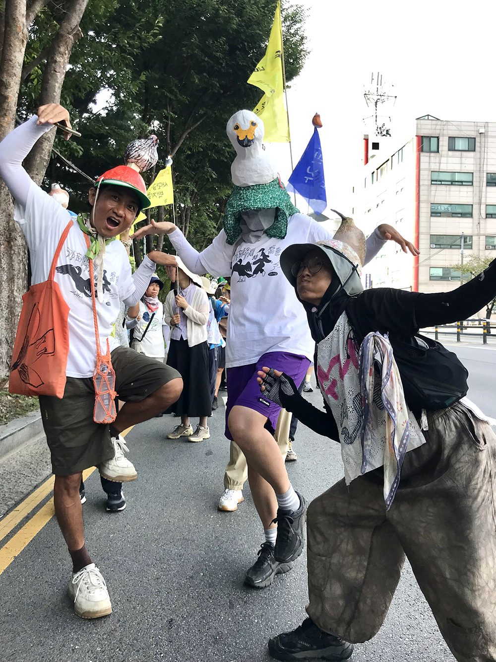 IMG_1085_ 가마우지들.jpg