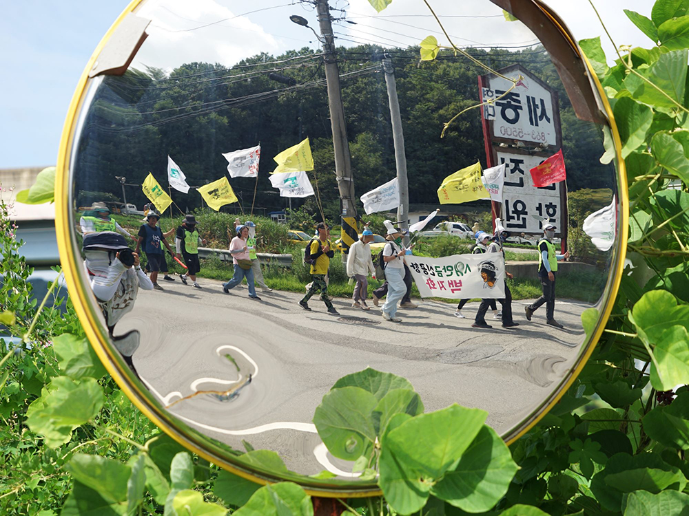 CKC05805__ 거울 속 행진.JPG