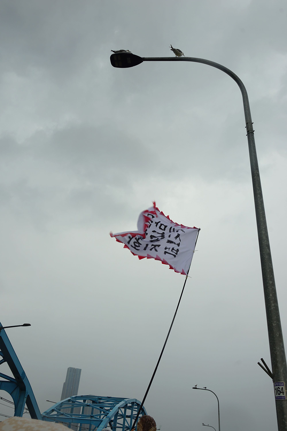 CKC07917__ 새와 깃발.JPG