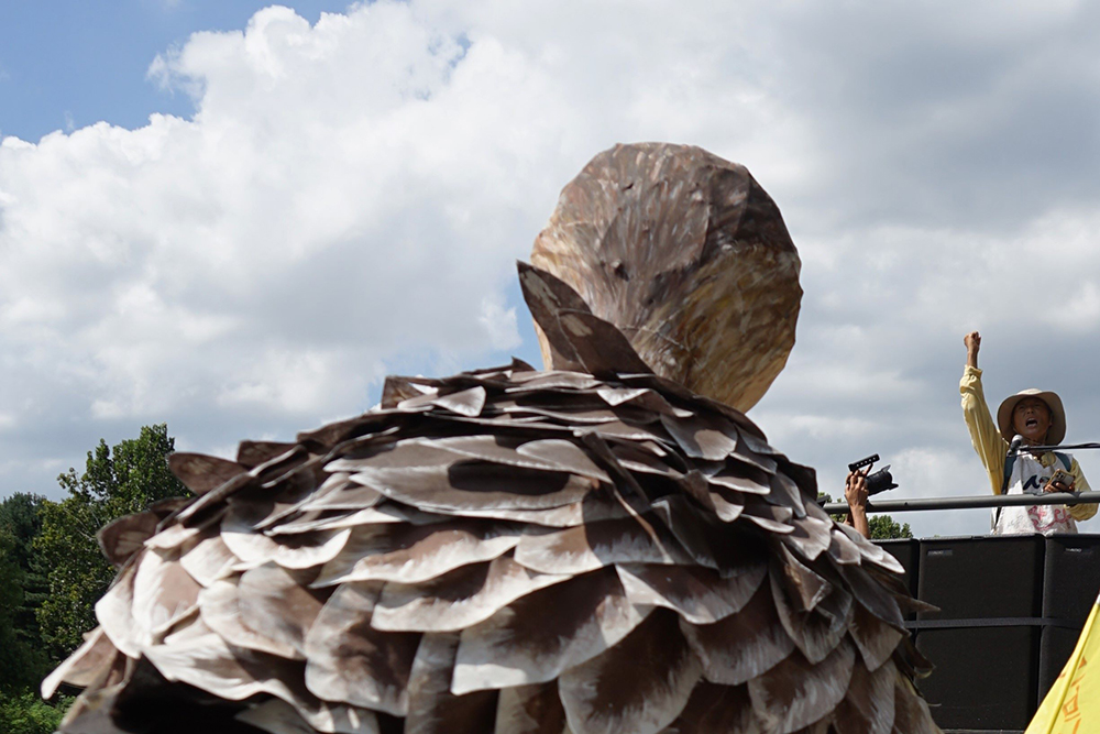 CKC07679__ 외치는 완두.JPG