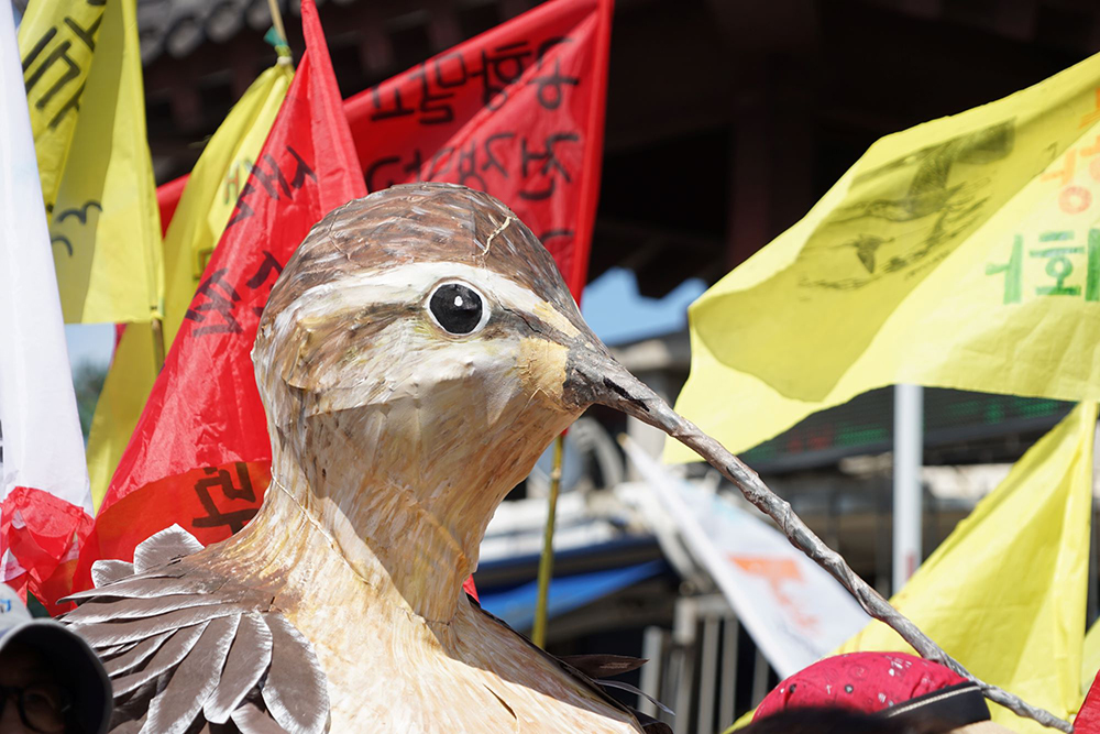 CKC07490_ 큰뒷부리도요의 맑은 눈.JPG