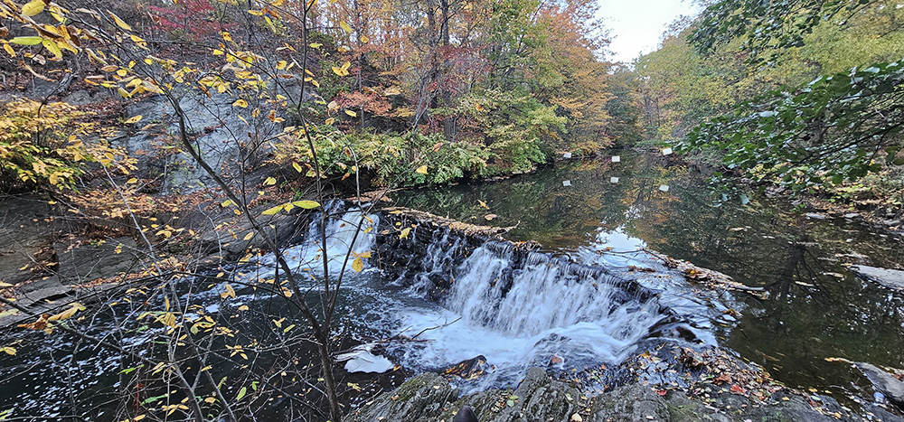 뉴욕-20251026_172316 (1).jpg