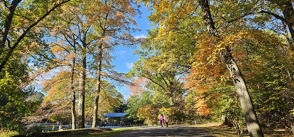 뉴욕-20251026_160900 (2).jpg