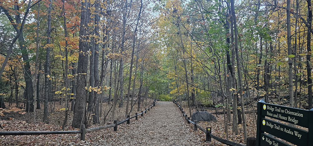 뉴욕--20251026_171325 (1).jpg