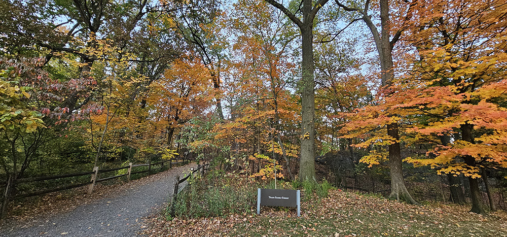 뉴욕-20251026_175209 (2).jpg