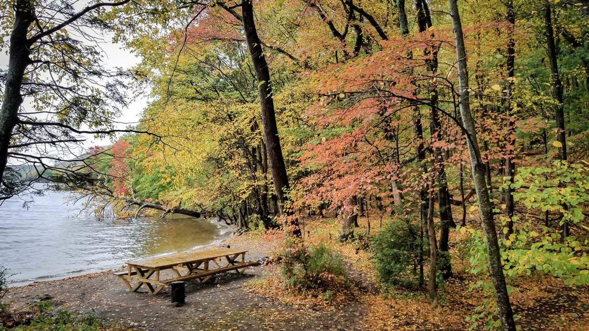 autumn-3_resize.jpg