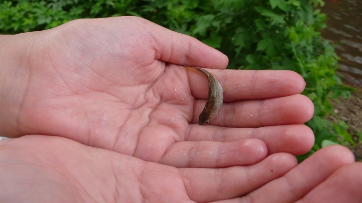 도움의 얼굴3.jpg