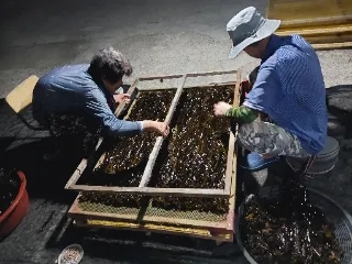 섬마을5.jpg