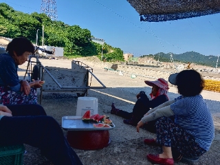 섬마을3.jpg