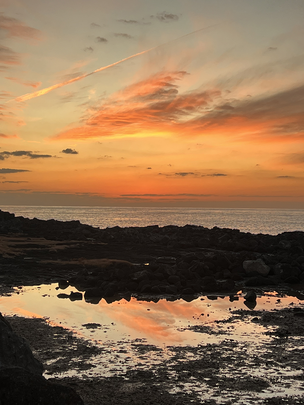 걸으며 생각하며2.jpg